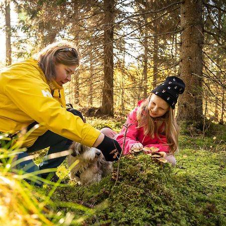 Koli Freetime Cottages Ahmovaara Exterior foto