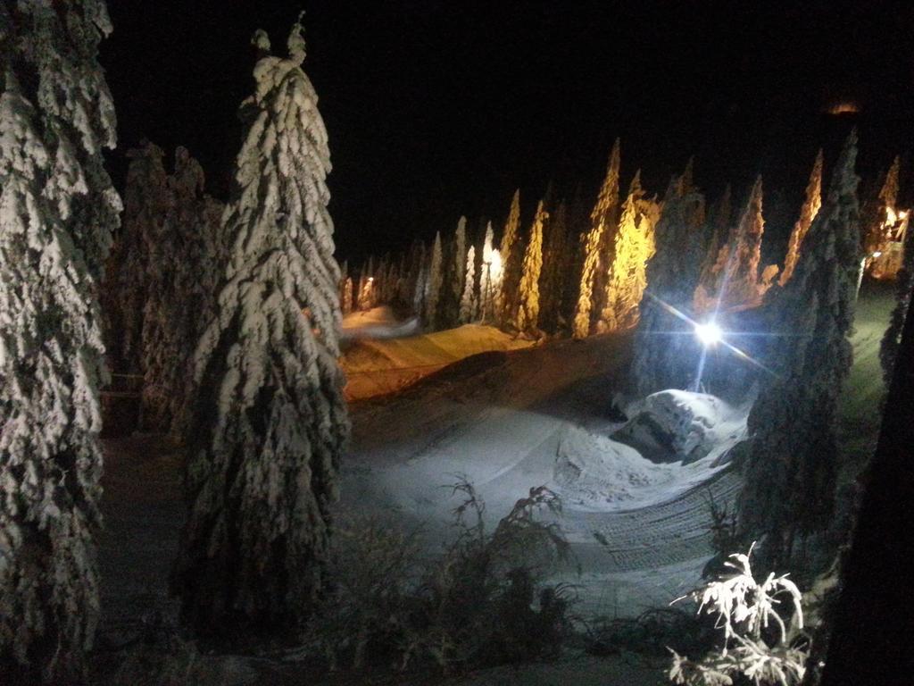 Koli Freetime Cottages Ahmovaara Exterior foto