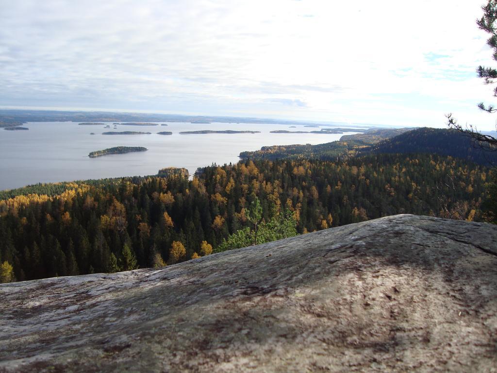 Koli Freetime Cottages Ahmovaara Quarto foto