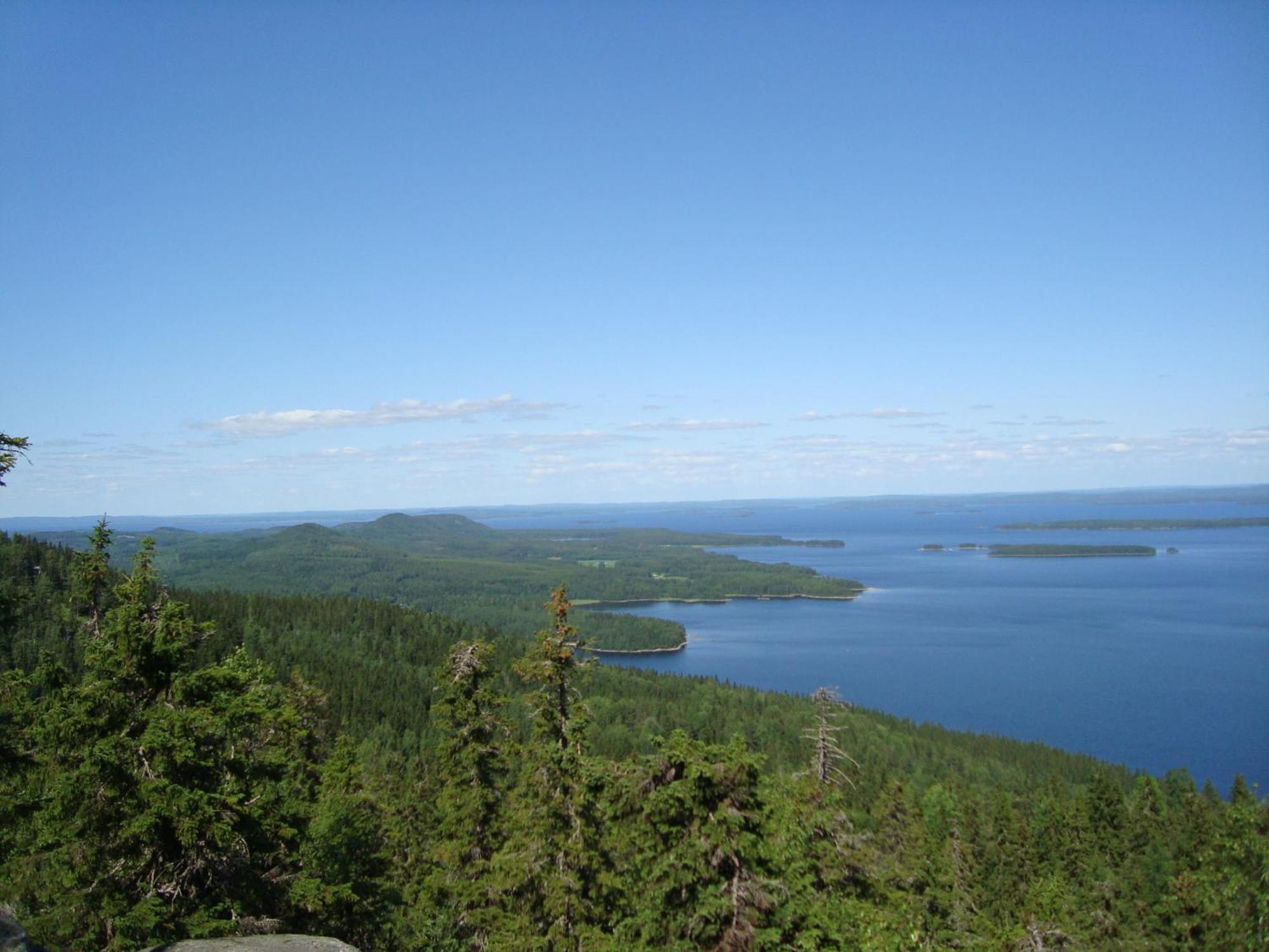 Koli Freetime Cottages Ahmovaara Quarto foto